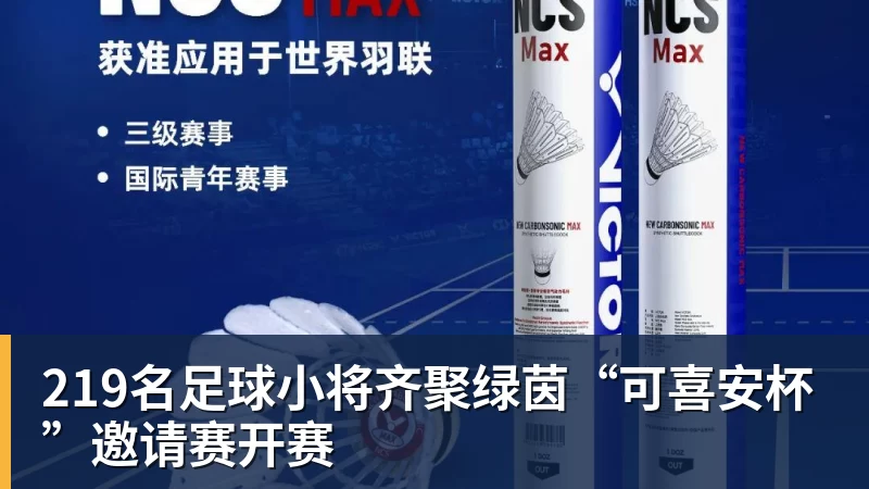 219名足球小将齐聚绿茵“可喜安杯”邀请赛开赛