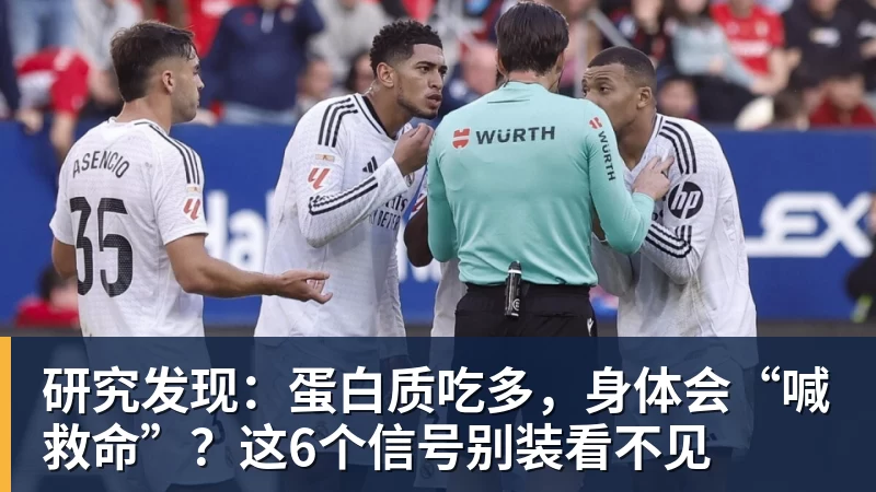 研究发现:蛋白质吃多,身体会“喊救命”?这6个信号别装看不见