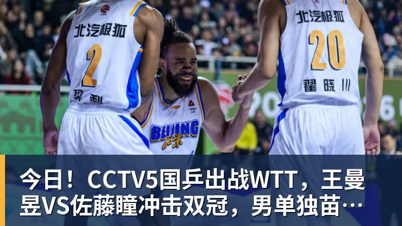 今日！CCTV5国乒出战WTT，王曼昱VS佐藤瞳冲击双冠，男单独苗周启豪PK松岛辉空